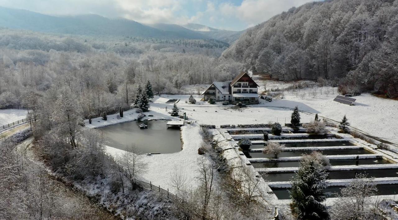 Hotel Valea Salbatica Sinca Noua Esterno foto