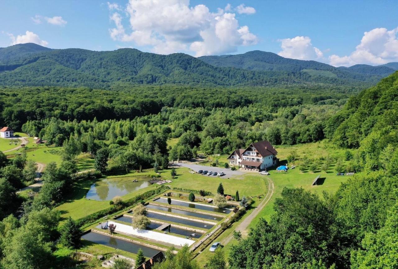 Hotel Valea Salbatica Sinca Noua Esterno foto