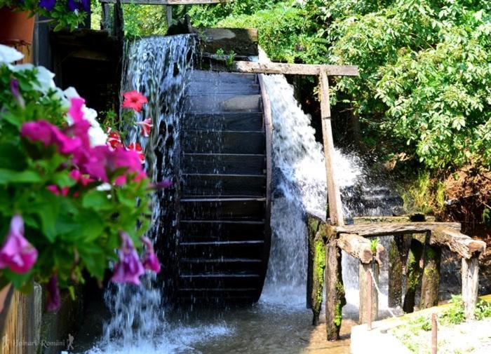 Hotel Valea Salbatica Sinca Noua Esterno foto