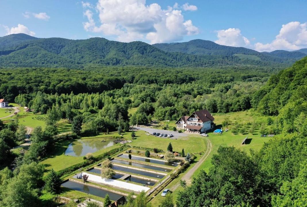 Hotel Valea Salbatica Sinca Noua Esterno foto