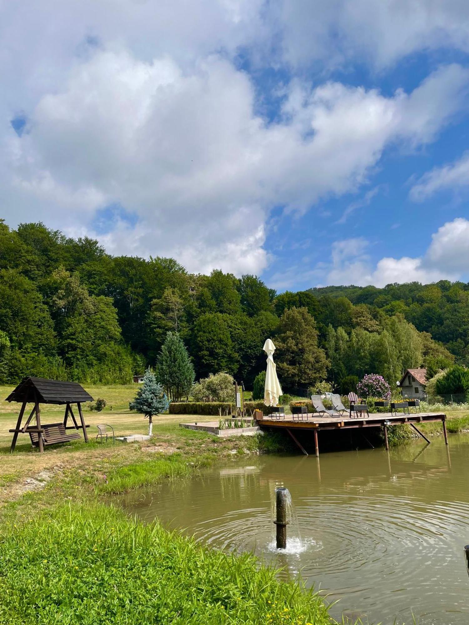 Hotel Valea Salbatica Sinca Noua Esterno foto