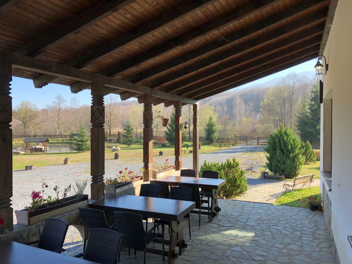Hotel Valea Salbatica Sinca Noua Esterno foto