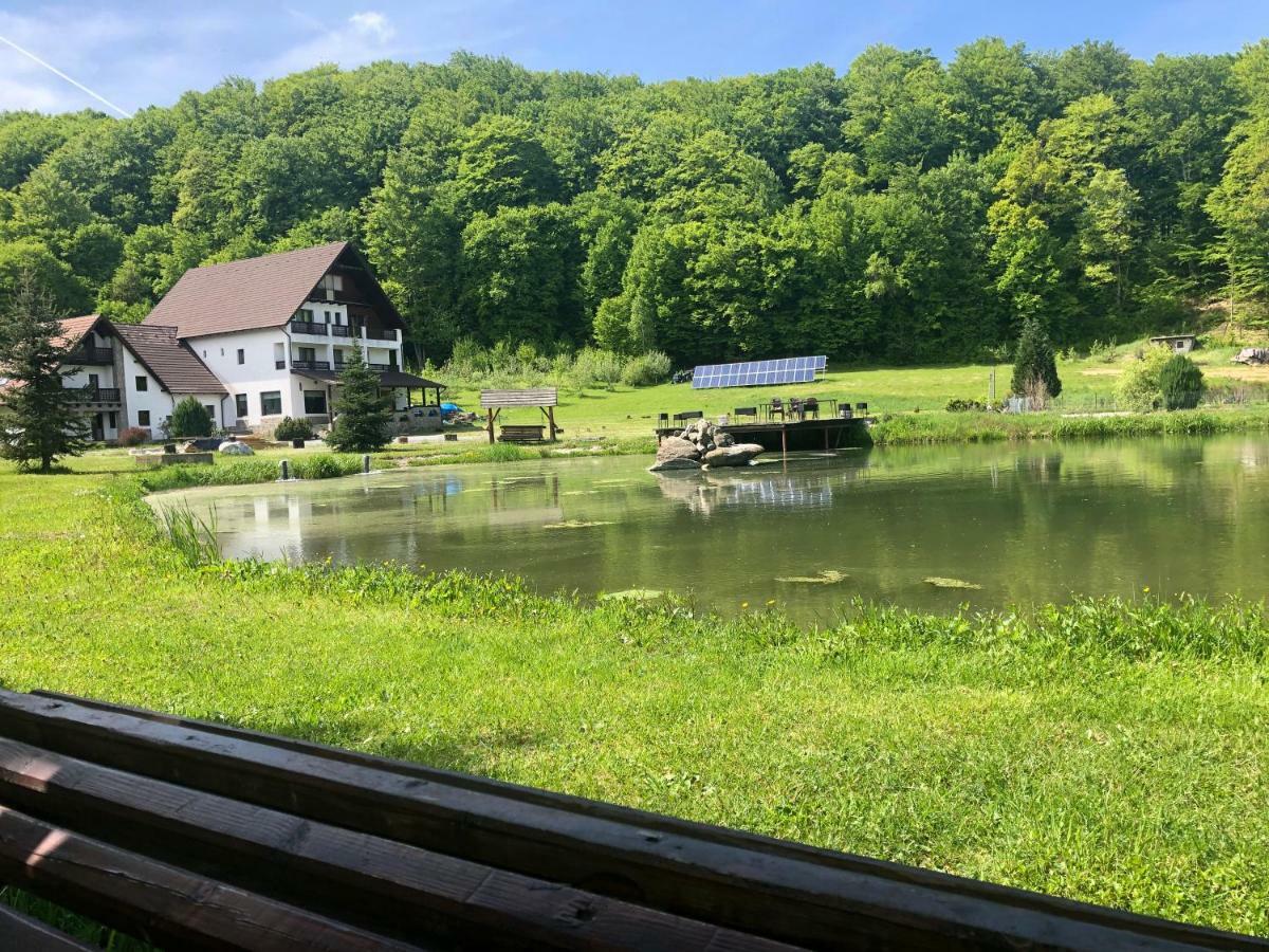 Hotel Valea Salbatica Sinca Noua Esterno foto
