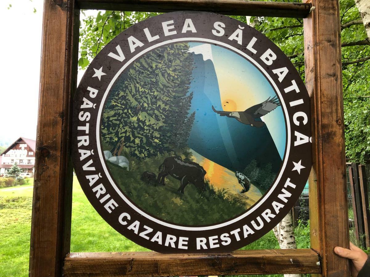 Hotel Valea Salbatica Sinca Noua Esterno foto