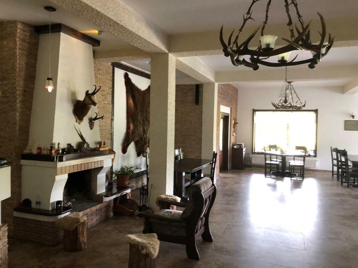 Hotel Valea Salbatica Sinca Noua Esterno foto