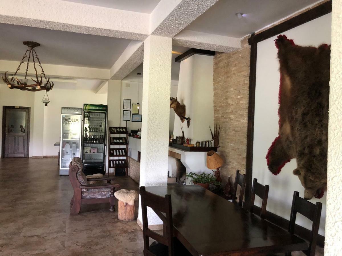 Hotel Valea Salbatica Sinca Noua Esterno foto