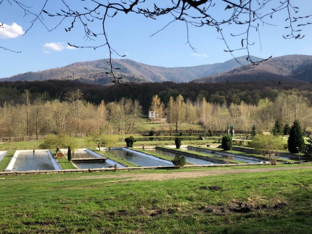 Hotel Valea Salbatica Sinca Noua Esterno foto